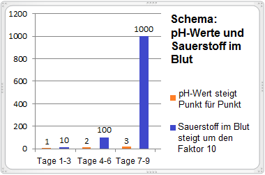 Das
                          Schema zeigt den steigenden pH-Wert und die
                          potentielle Steigerung des Sauerstoffs im Blut
                          um den Faktor 10 pro pH-Punkt