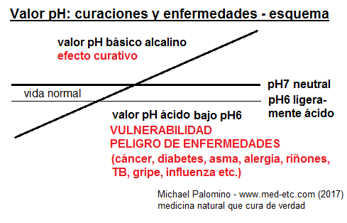 El
                                  esquema con los valores de pH (medidos
                                  en la orina en ayunas): �cido bajo pH6
                                  (con la vulnerabilidad y con el
                                  peligro de enfermarse), entre pH6 y
                                  pH7 para la vida normal, el valor
                                  neutral es el valor pH7, y el valor
                                  b�sico curativo es m�s de pH7 entre
                                  pH7 y pH8