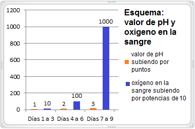 El esquema muestra como sube el
                                valor de pH (medido en la orina en
                                ayunas) y como sube el ox�geno en la
                                sangre potencialmente con el factor 10
                                por punto de valor pH