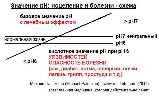 Схема со
                                    значениями рН: кислый ниже рН 6
                                    (восприимчивость и риск
                                    заболевания), между рН 6 и pH7 для
                                    нормальной жизни, нейтральное
                                    значение рН pH7 и базовое целебное
                                    значение рН выше рН 7 между рН 7 и
                                    pH8