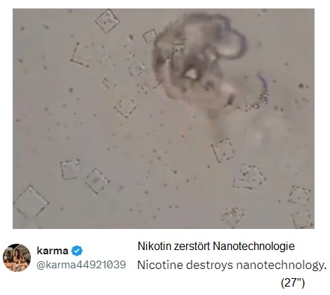 Nikotin zerst�rt Nanotech im Blut 01