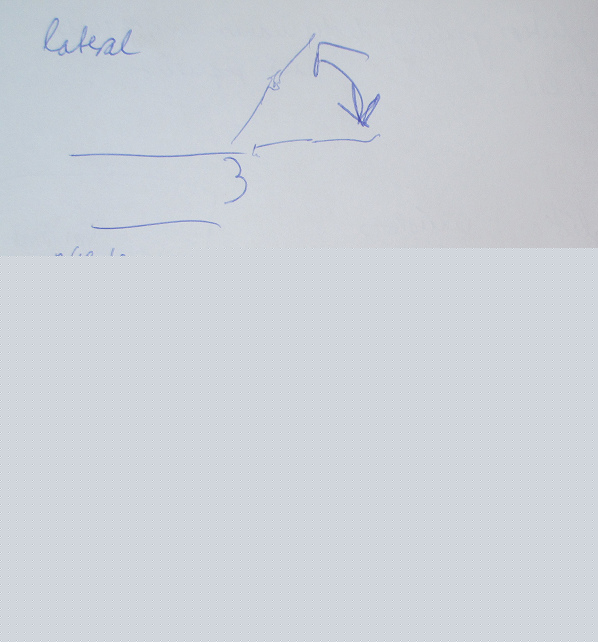 Die �bungen f�r mehr
                H�ftumfang am Hinterteil