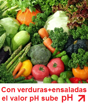 verduras y ensaladas, el
valor pH sube verduras y ensaladas, el valor pH
sube