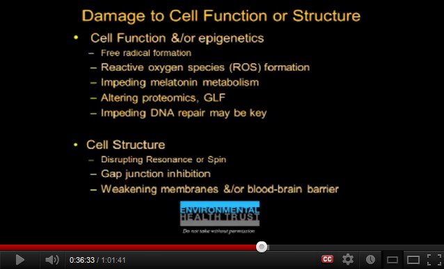 Die
                  Schadenliste durch Kurzwellenstrahlung