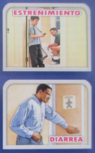 Enfermedades del
                              aparato digestivo: estreñimiento
                              (constipación) y diarrea