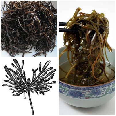 Baumalge
                                            Arame auf dem Teller