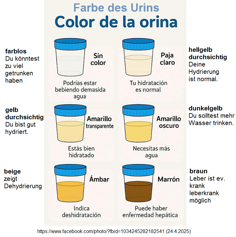 23.4.2025: Farbe des Urins als
Indikator - Grafik 23.4.2025: Farbe des
Urins als Indikator - Grafik