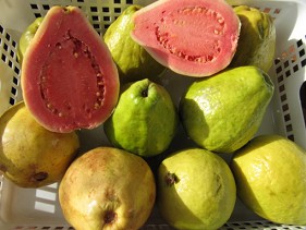 guayaba, frutas abiertas guayaba,
frutas abiertas