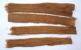 U�a de gato, corteza