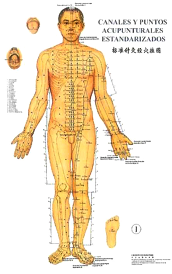 Puntos y meridianos
principales Puntos y meridianos
principales