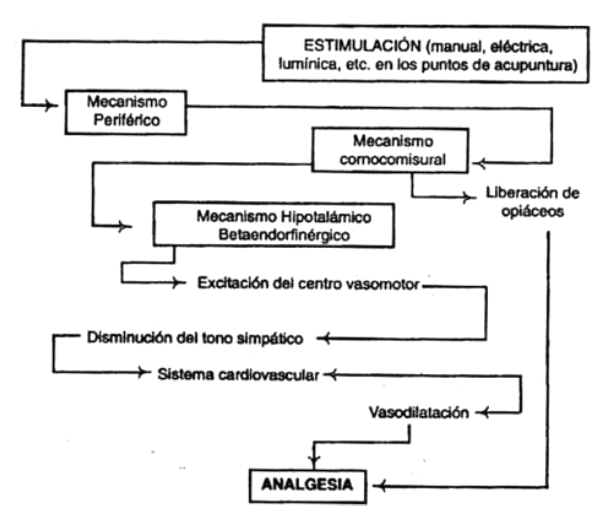 Esquema Esquema