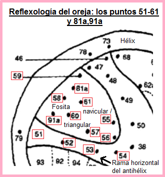 La oreja con los puntos 51 a 61
y 81a y 91a La oreja con los puntos 51 a 61 y 81a y
91a