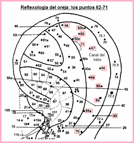 La oreja con los puntos 62 a 71 en el
canal del hélix La oreja con los
puntos 62 a 71 en el canal del hélix