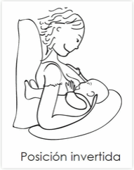 Lactar un bebe, posici�n 3 invertida