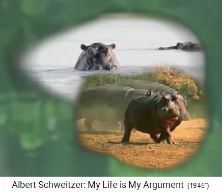 Gabun, Nilpferde im Fluss Ogooué (Ogowe) Gabun, Nilpferde im Fluss Ogooué (Ogowe)