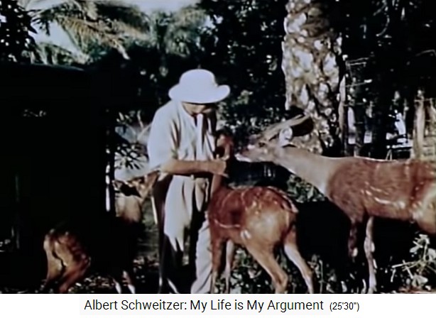 Lambarene, Albert Schweitzer mit Wildtieren Lambarene, Albert Schweitzer mit Wildtieren
