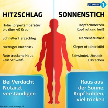 Sonnenstich
                Symptome, Liste: Kopfschmerzen, roter+heisser Kopf,
                steifer Nacken, K�rper oft eher k�hl, Schwindel,
                �belkeit, Erbrechen