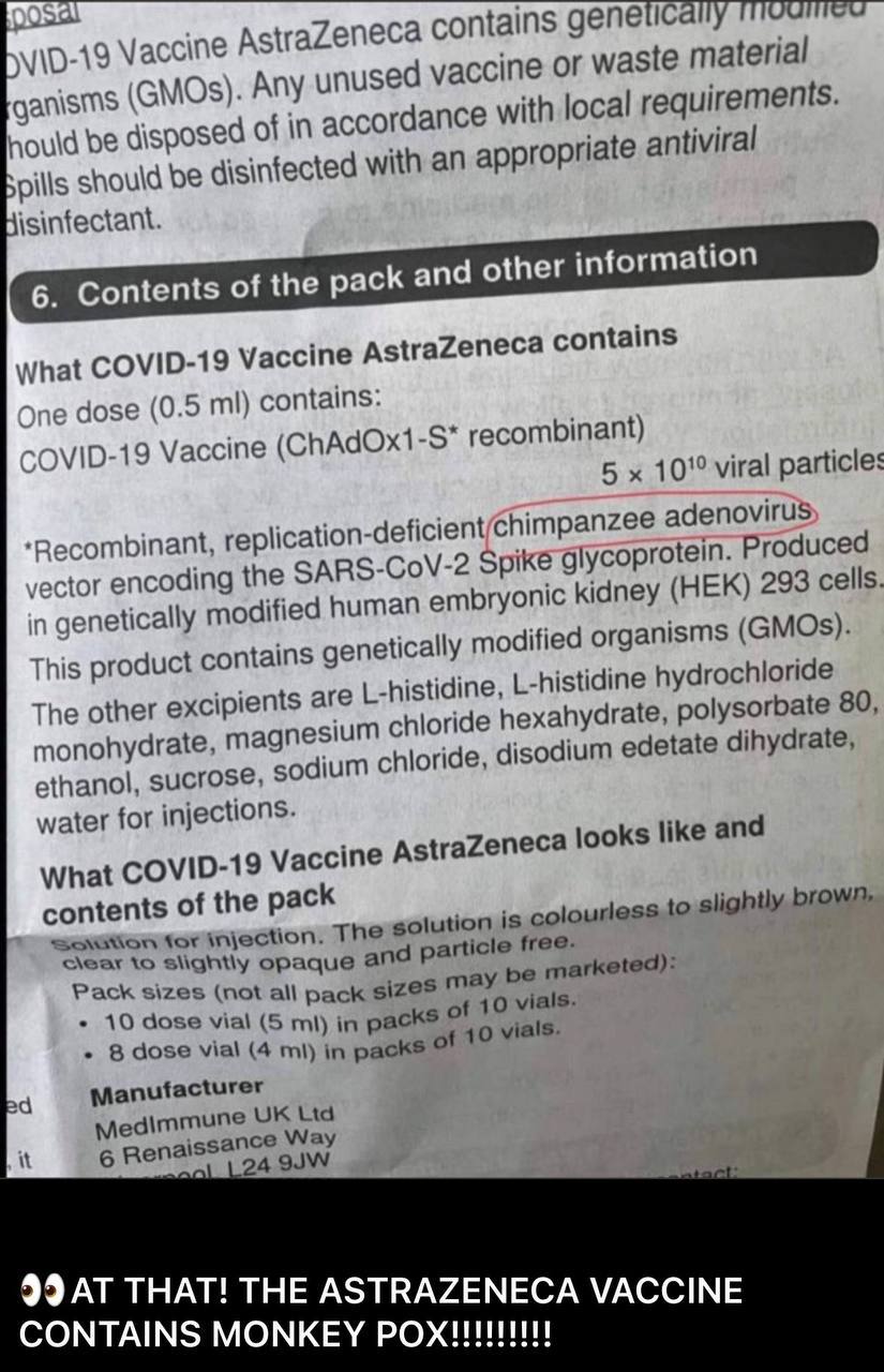 Affenpocken am 16.8.2024: war Inhaltsstoff
z.B. in der "Coronaimpfung" von
AstraZeneca: THE ASTRA ZENECA JAB CONTAINED MONKEY
POX. WAKE UP VAXXERS! Affenpocken am
16.8.2024: war Inhaltsstoff z.B. in der
"Coronaimpfung" von AstraZeneca: THE ASTRA
ZENECA JAB CONTAINED MONKEY POX. WAKE UP VAXXERS!