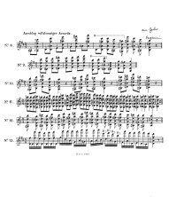 Seite 30: Vierstimmige Akkorde, z.T. in
                            hohen Lagen (Paganini, aus Guhr)