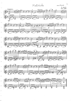 Duoalbum 1.Lage, Seite 32