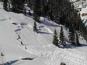 Schneebrettanrissstelle Schneebrettanrissstelle