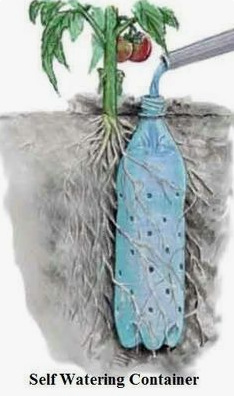 Bottle with holes in the ground next to a tree
                  for irrigating the roots in drylands, scheme