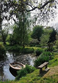 Pond with
                willow and rowing boat