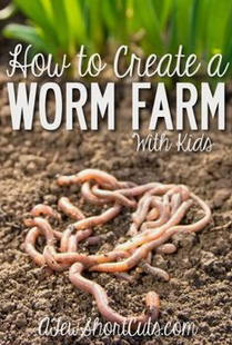 Book How to
                create a worm farm