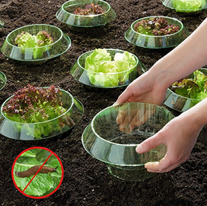 Plastik im Garten wirkt sehr unbeholfen:
Schneckenkragen gegen Schneckenfrass Plastik im
Garten wirkt sehr unbeholfen: Schneckenkragen gegen
Schneckenfrass