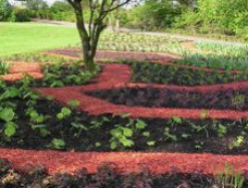 Wege mit rotem Pinien-Rindenmulch Wege mit
rotem Pinien-Rindenmulch