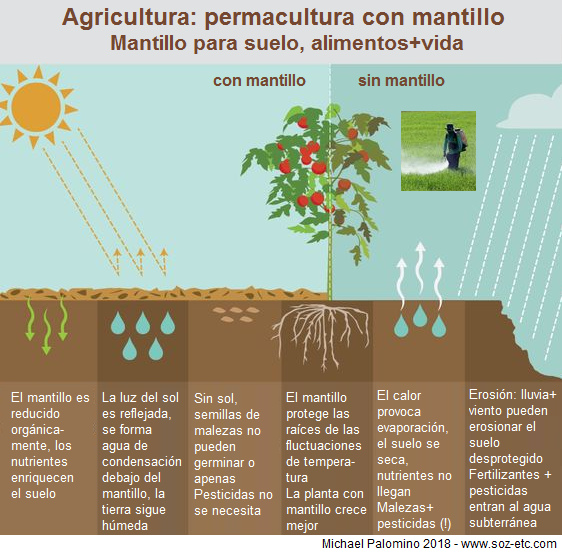 Poner mantillo, esquema con
nutrientes, condensación y sin malezas y sin
pesticidas Poner mantillo, esquema con
nutrientes, condensación y sin malezas y sin
pesticidas