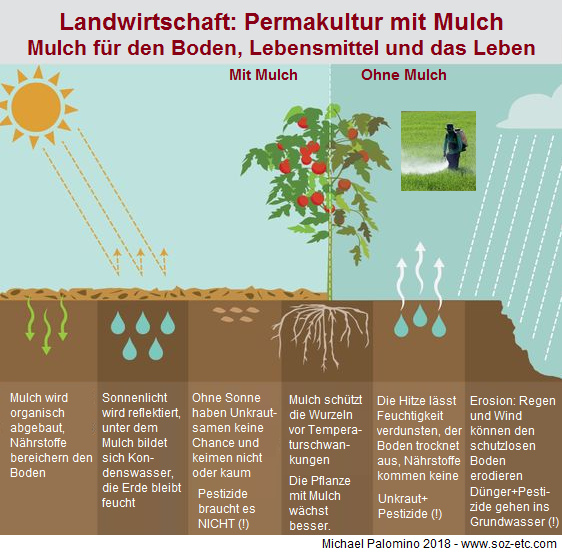 Mulchen, Schema mit Nährstoffen,
Kondenswasser und ohne Unkraut und ohne
Pestizide Mulchen, Schema mit
Nährstoffen, Kondenswasser und ohne Unkraut
und ohne Pestizide