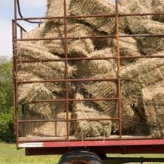 Strohballen für Strohmulch Strohballen für
Strohmulch