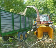 Häxelmaschine (ein Häxler) "frisst"
dünne Äste und oben kommt das Häxelmaterial direkt auf
den Anhänger Häxelmaschine (ein Häxler)
"frisst" dünne Äste und oben kommt das
Häxelmaterial direkt auf den Anhänger