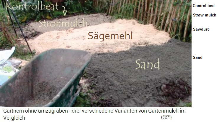 Mulching in Ireland in the garlic field:
sand, sawdust and straw pellets plus a control field
without mulch Mulching in Ireland in the
garlic field: sand, sawdust and straw pellets plus a
control field without mulch