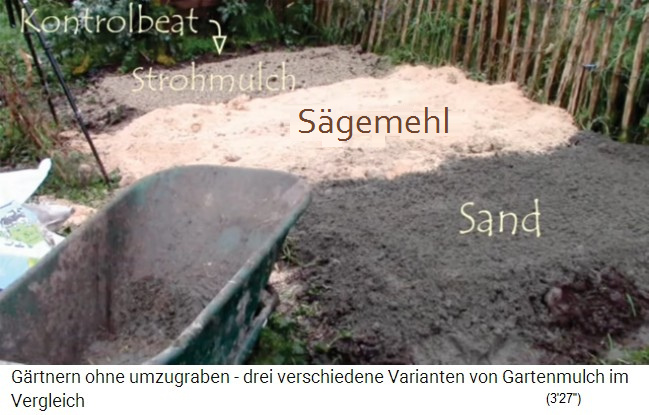 Mulchen in Irland im Knoblauchfeld: Sand,
Sägemehl und Strohpellets plus ein Kontrollfeld ohne
Mulch Mulchen in Irland im Knoblauchfeld: Sand,
Sägemehl und Strohpellets plus ein Kontrollfeld ohne
Mulch