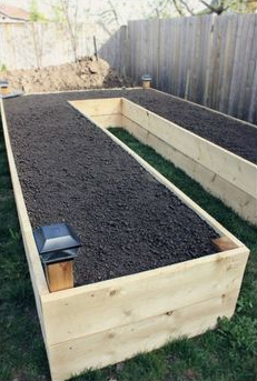 U-shaped
                          raised bed
