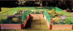 raised bed in U-shape with
                          protective net
