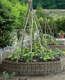 Round
                          bed with wickerwork