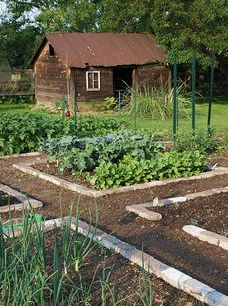 Rectangular
                  garden beds