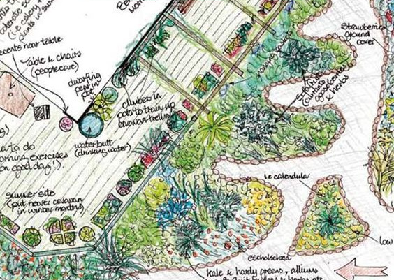 Permaculture garden, beds in a
                          waving design