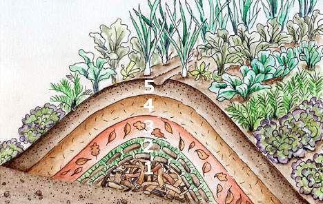 Layering of permaculture
                          hillbed variation 03