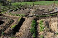 Permaculture hillbeds
                          ending in a mandala circle bed