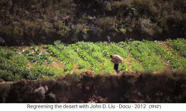 China Loess
                  plateau, vegetables grown on large terraces across
                  small fields economy