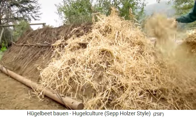 Hillbed workshop with Sepp
                    Holzer in Austria 19: straw mulch is laid for
                    protection and repeated nutrient enrichment