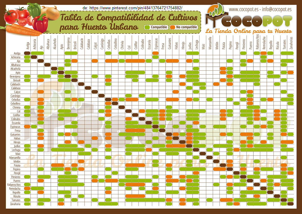 Tabla con plantas
                        muy compatibles (cultivos compatibles) o las
                        plantas que se bloquean - permacultura
