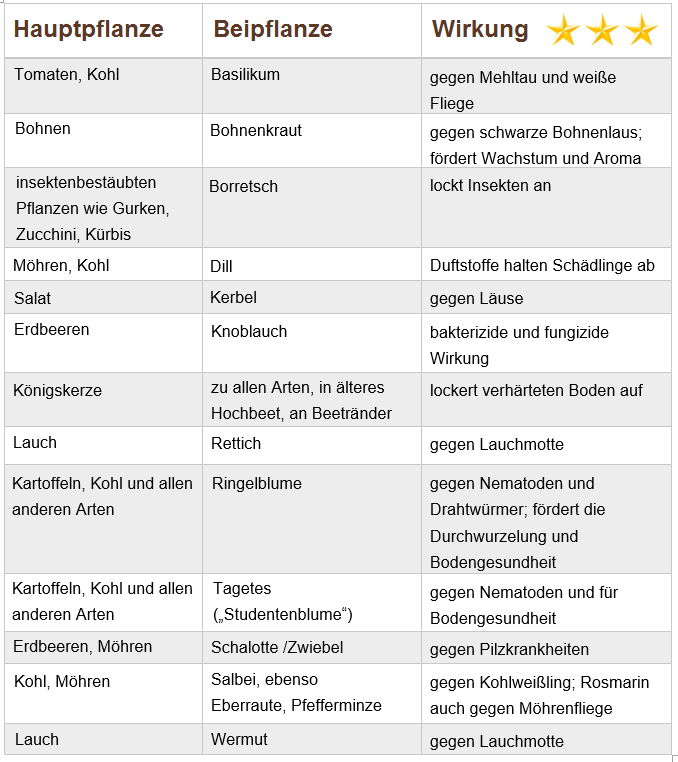 Tabelle: Wirkungen von
                          Beipflanzen bei Gem�sen