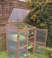 Keimlinge kann man in der
                          Glasvitrine stapeln