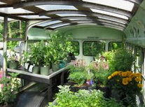 Alter Bus als Treibhaus, Innenansicht