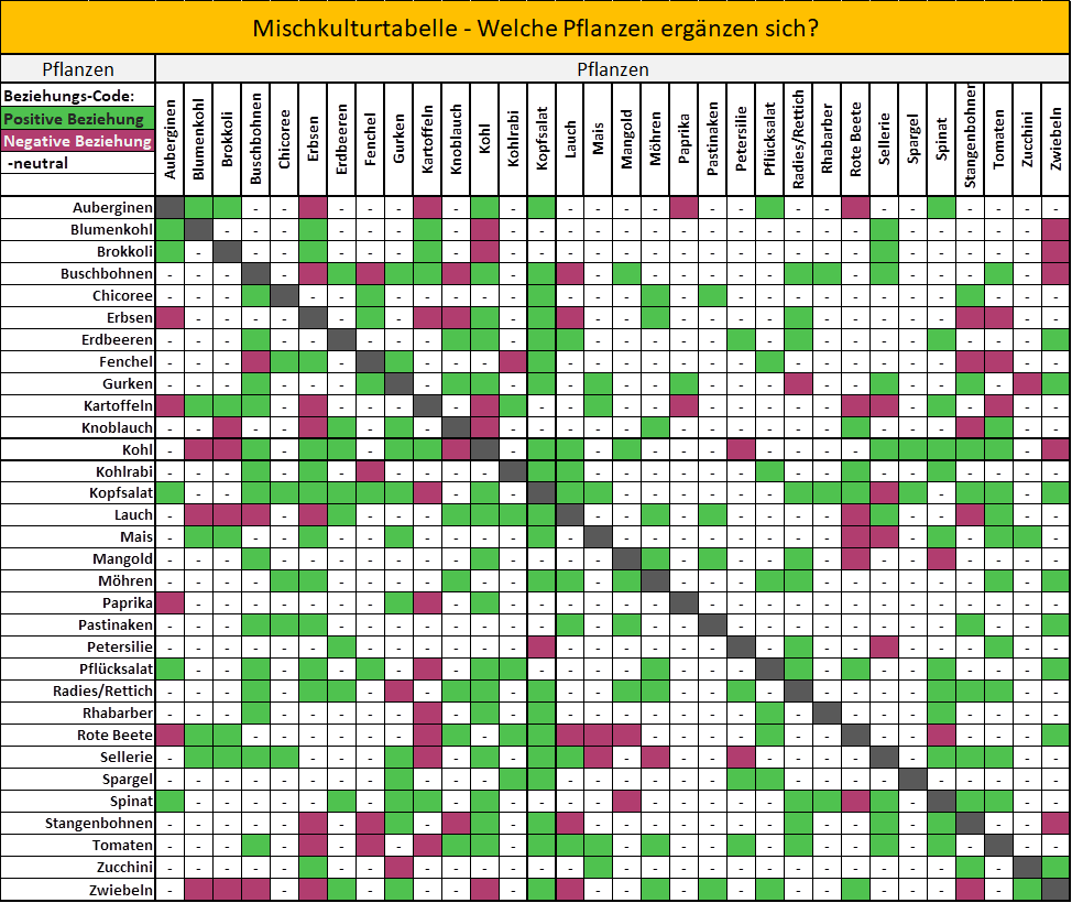 Tabelle: Wirkungen von Beipflanzen bei
Gemüsen Tabelle: Wirkungen von Beipflanzen bei
Gemüsen